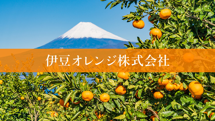 Webサイトを公開